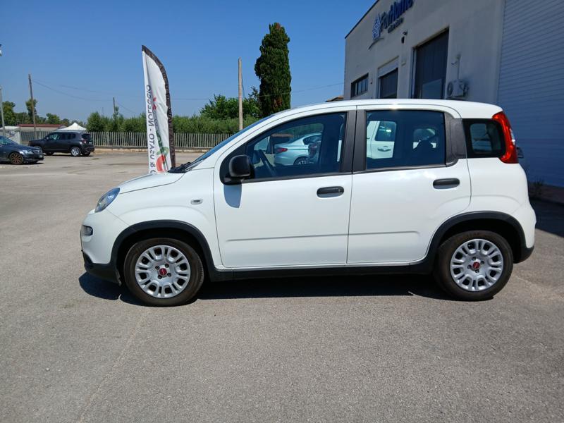 egauto